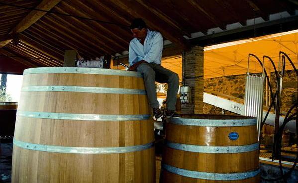 Lo Slow Food premia il vino di Valgiano