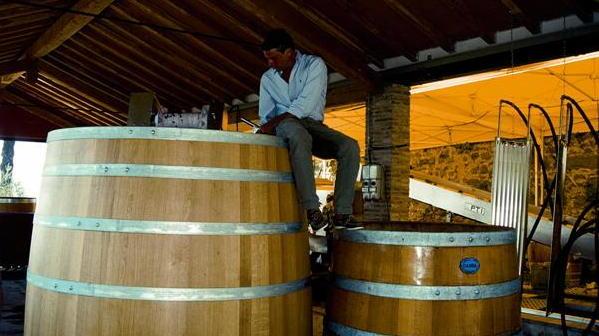 Lo Slow Food premia il vino di Valgiano