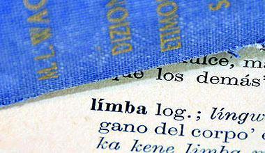 Bitti: la lingua sarda è ostaggio di una lobby che si spartisce tutto 