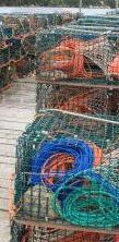 Trappole per la pesca nel Golfo, numerose denunce
