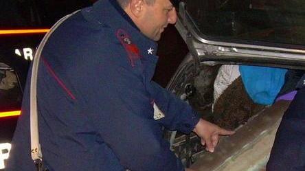 La pattuglia anti furto arresta un presunto spacciatore