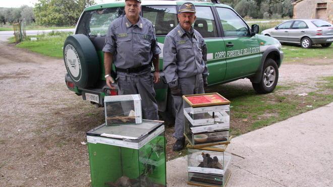Animali pericolosi in casa, piombinese denunciato
