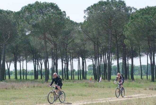 «Giù le mani dalla Tenuta di San Rossore» 