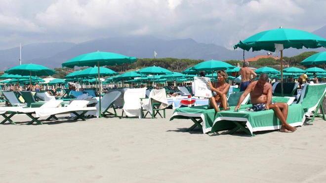 «Qualità per salvarsi dalla Bolkestein»