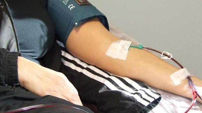 «Obbligatori gli esami ai donatori»