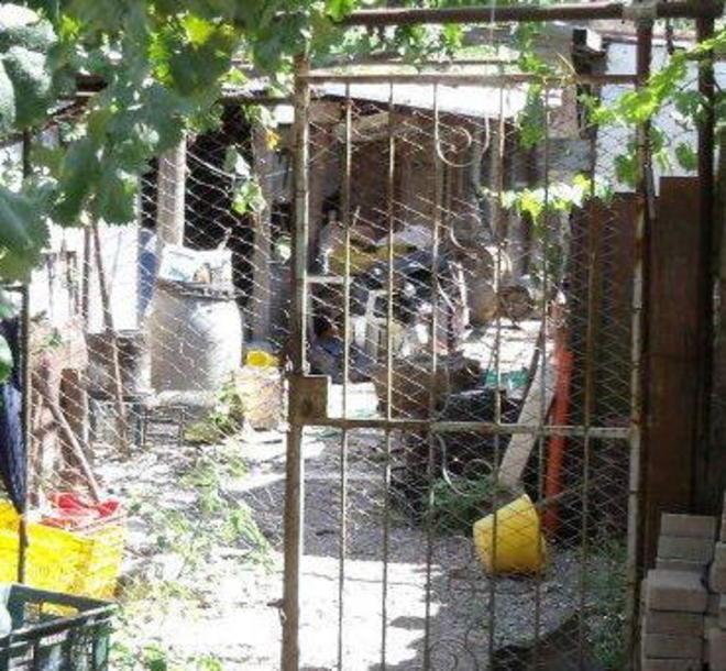 Quei canili abusivi saranno demoliti 