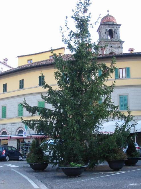 Natale senza addobbi Le associazioni «Ci costano troppo» 