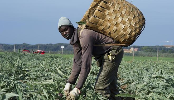 Lavoro e sicurezza in un calendario, ricordando Luca 