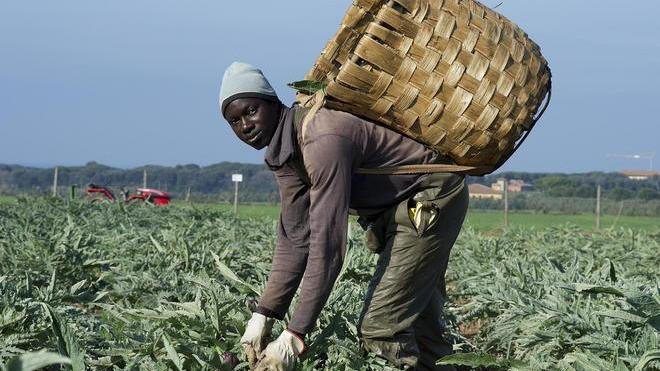 Lavoro e sicurezza in un calendario, ricordando Luca