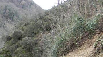 Allarme esondazione per il lago Pontecosi pieno di detriti