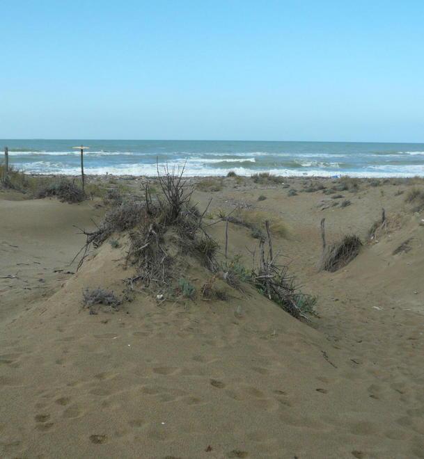 Un percorso dal Fortino fino alla spiaggia di dune 
