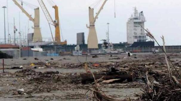 E anche sul litorale arriva un’altra valanga di legna
