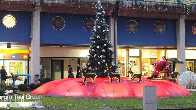 Una foresta incantata guida lo shopping