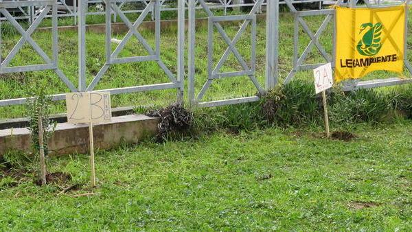 Alberi e arbusti piantati alle scuole del Perticale