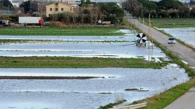 Venturina allagata Fossi straripati e paura per il Cornia