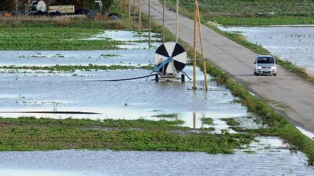 Nubifragio a Venturina, agricoltura in ginocchio