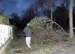 Nuovo allarme meteo in Versilia previsti vento forte e mareggiate 