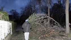 Nuovo allarme meteo in Versilia previsti vento forte e mareggiate