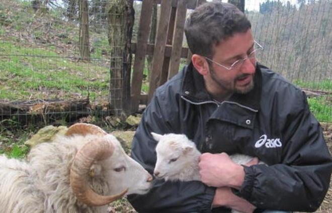 Le pecore vichinghe trovano casa in quel di Lorenzana 