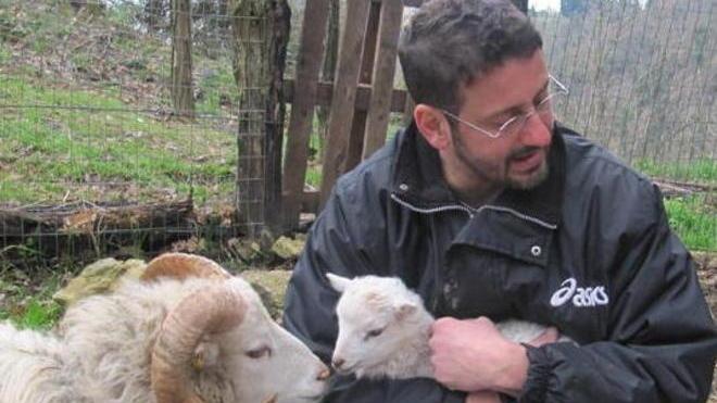 Le pecore vichinghe trovano casa in quel di Lorenzana
