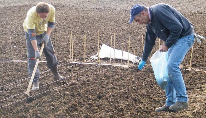 Parchi a braccetto con l’agricoltura bio Incontro al Castello 