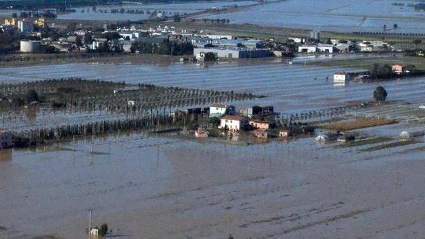 Monaci al Wwf: «A Albinia spaliamo»