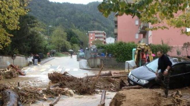 Tutte le coordinate bancarie per dare un contributo