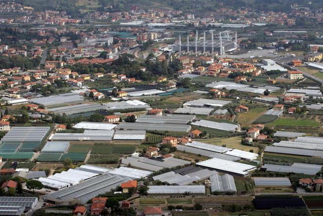 Stop alle esportazioni dei frassini