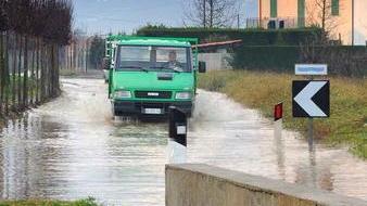Controlli a tappeto nelle aziende vivaistiche