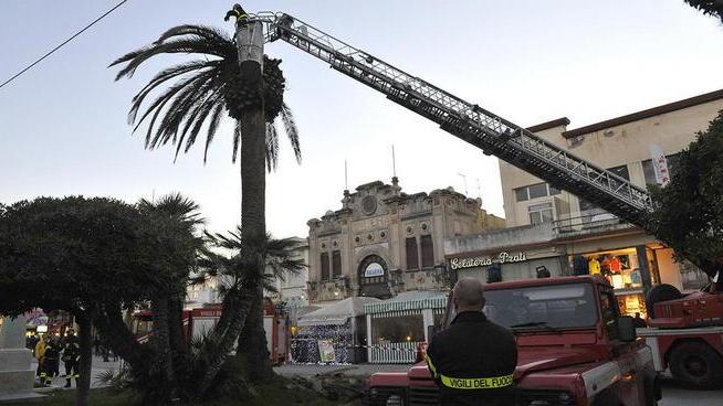 Romanini (Pd): ma cosa controlla il Verde pubblico?