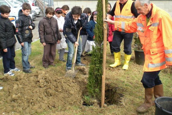 Sessanta alberi quanti i bambini del 2011