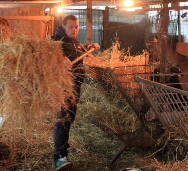 Michele, 19 anni farà il pastore dietro alla Renella 
