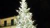 Si accenderà oggi l’albero di Natale