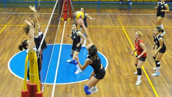 Volley Piombino, ok a metà