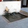 Per il monumento simbolo ecco i fondi del restauro 