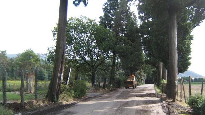 Chiusa per il gelo via di Galceti