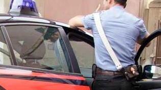 Ruba 50 pacchi di pinoli giovane inseguita e arrestata