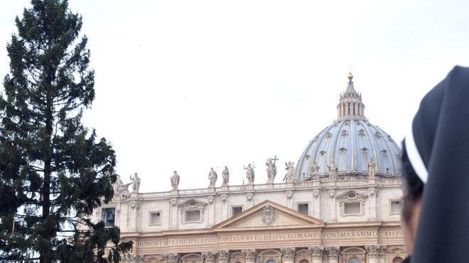 Donati al Papa 5 abeti pistoiesi