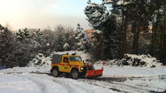 Ghiaccio e alberi caduti Un sabato di disagi