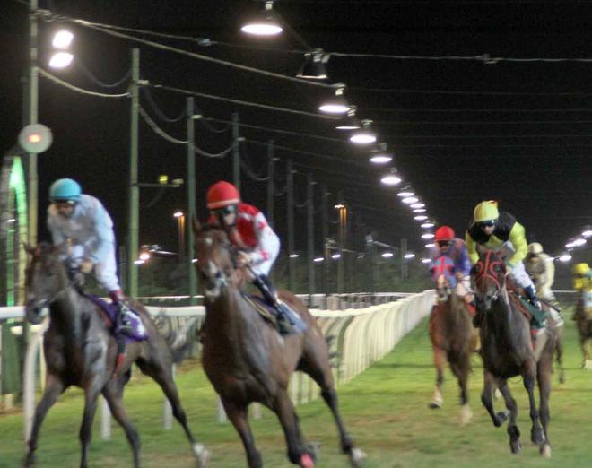 Alfea minaccia di lasciare l’ippodromo Caprilli 