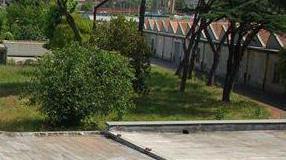 Area ex Tobacco, restano il verde e la nuova strada