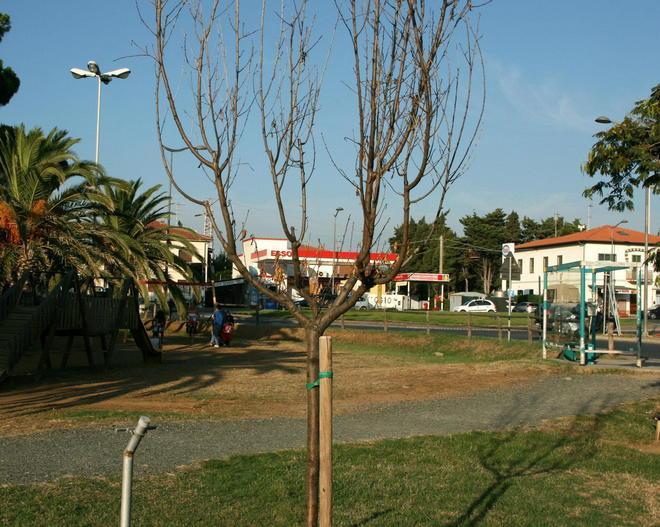 Pozzi inquinati, via ai prelievi 