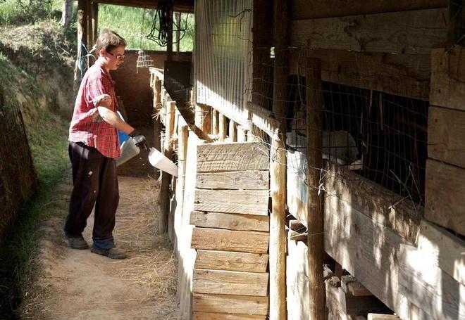 Posti di lavoro dalla “filiera del bosco” 