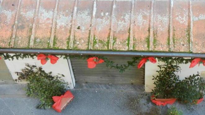 Vandali in azione in piazza della Sala