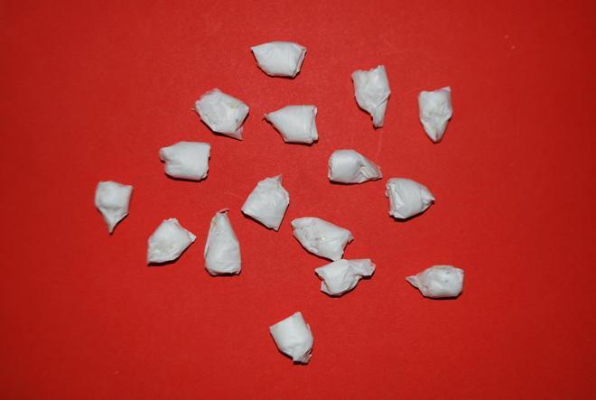 Spacciavano coca in una serra abbandonata: arrestati due marocchini 