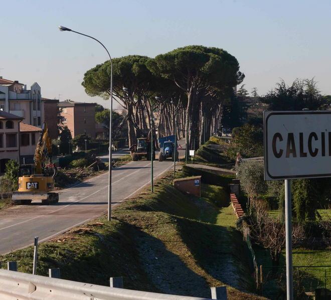 I pini che dividono, negozianti arrabbiati ma la gente... plaude 