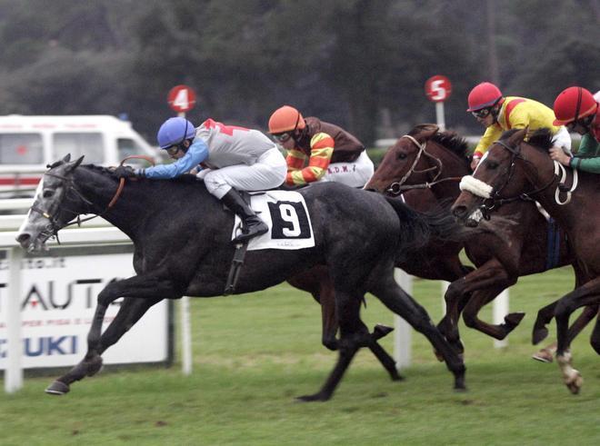 Sette corse a San Rossore Aydox cerca il primo trionfo