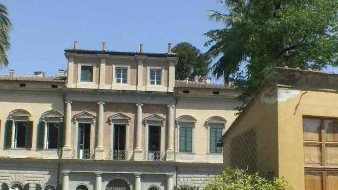 Diecimila alberi piantati al posto dei pini malati