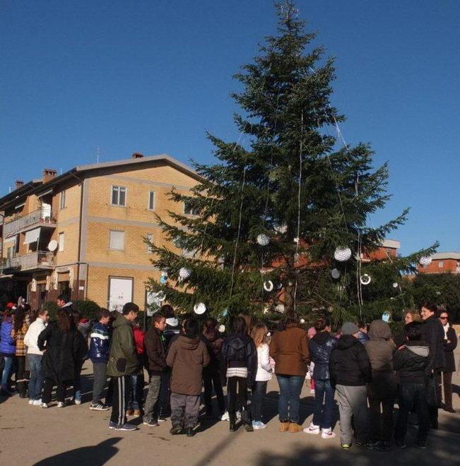 La Paffetti porta 55 alberi di Natale