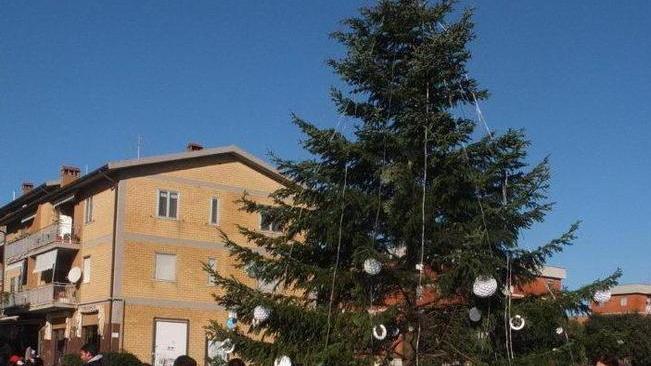 La Paffetti porta 55 alberi di Natale